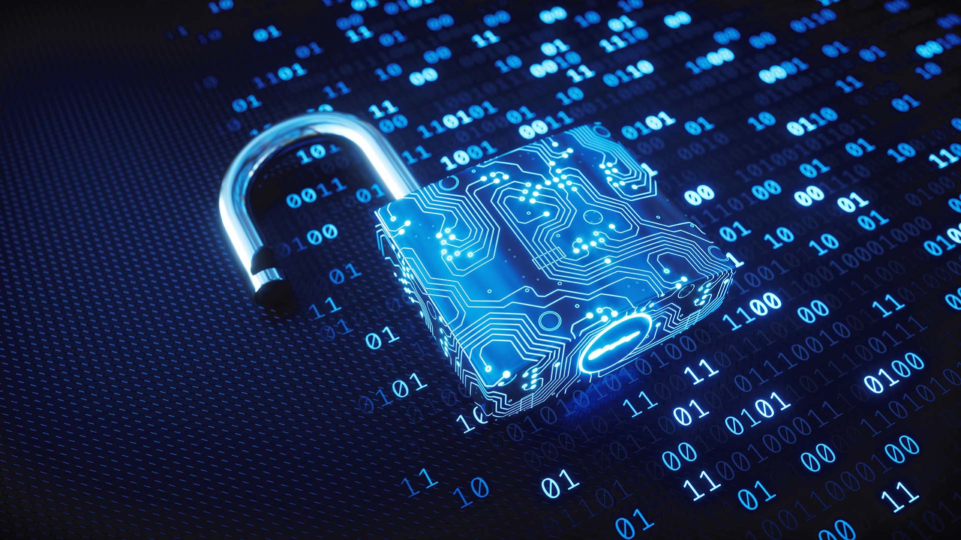 Provident Bank Cybersecurity